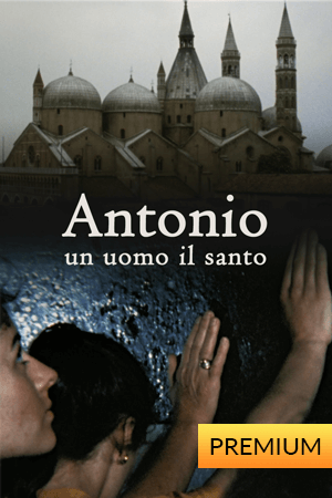 Antonio, un uomo...Il Santo