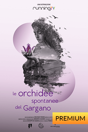 Orchidee del Gargano - 2 Episodi
