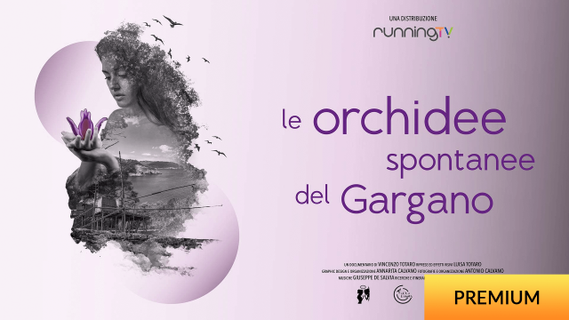 Orchidee del Gargano - 2 Episodi